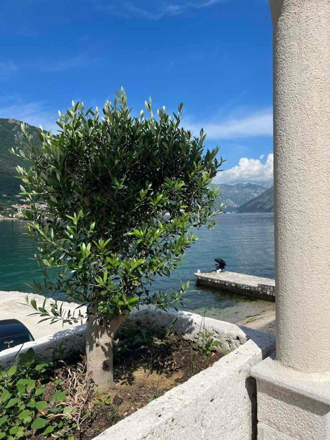 Sea Front 171 Kotor Exterior foto